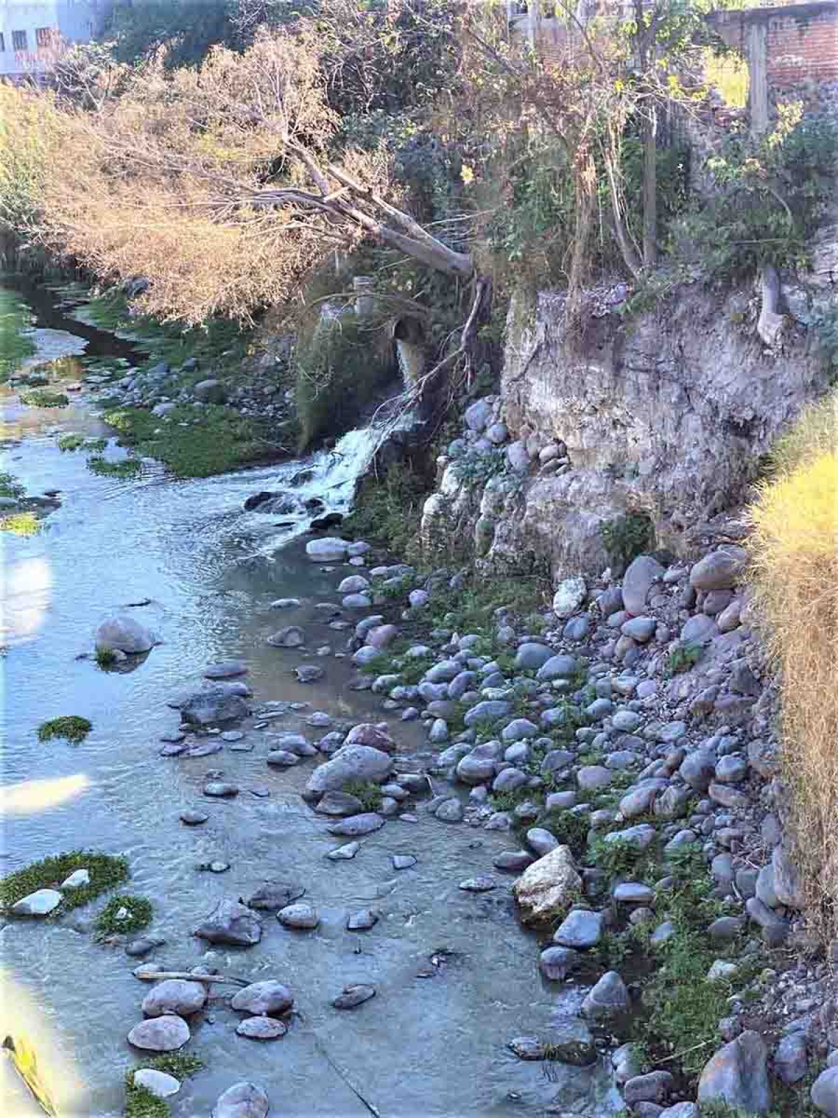 Denuncian severa contaminación del río Cuautla