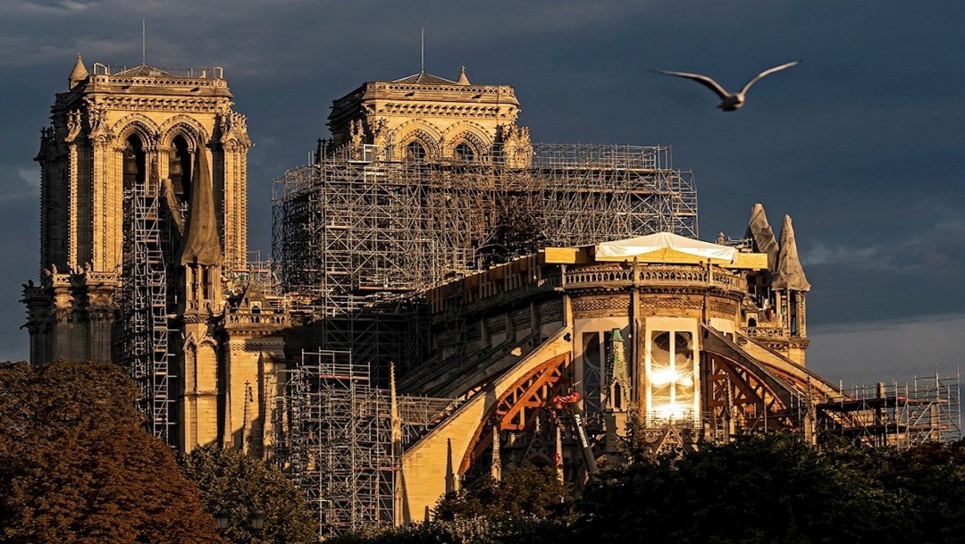 Comienzan a restaurar el gran órgano de la catedral de Notre-Dame en París