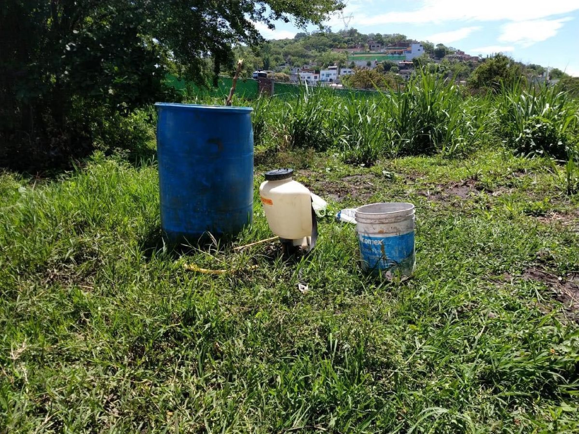Encontró un cadáver cuando caminaba a sus parcelas