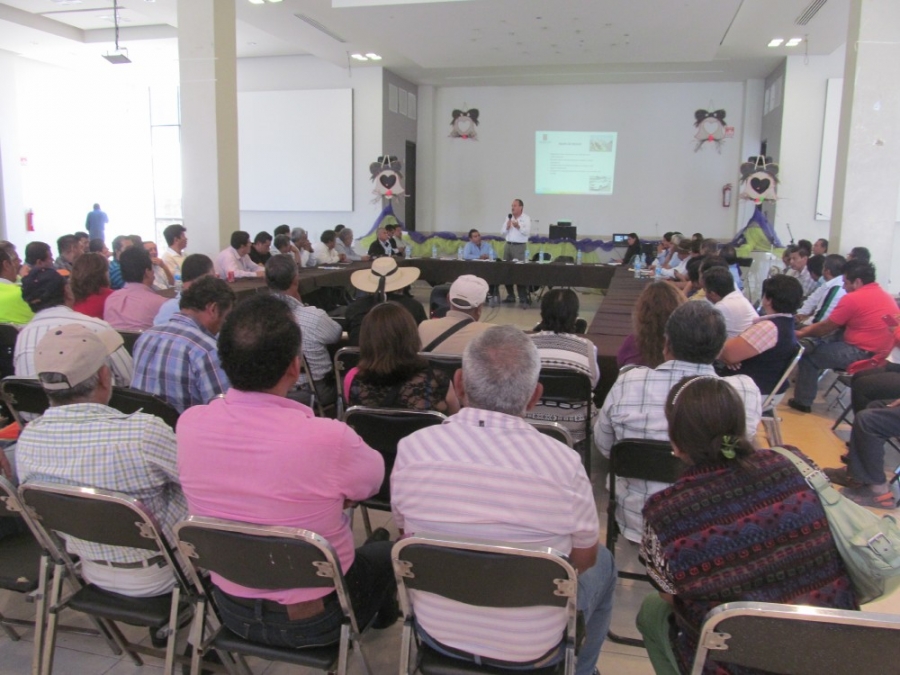 Se inician foros para crear consejo consultivo del transporte en la zona sur