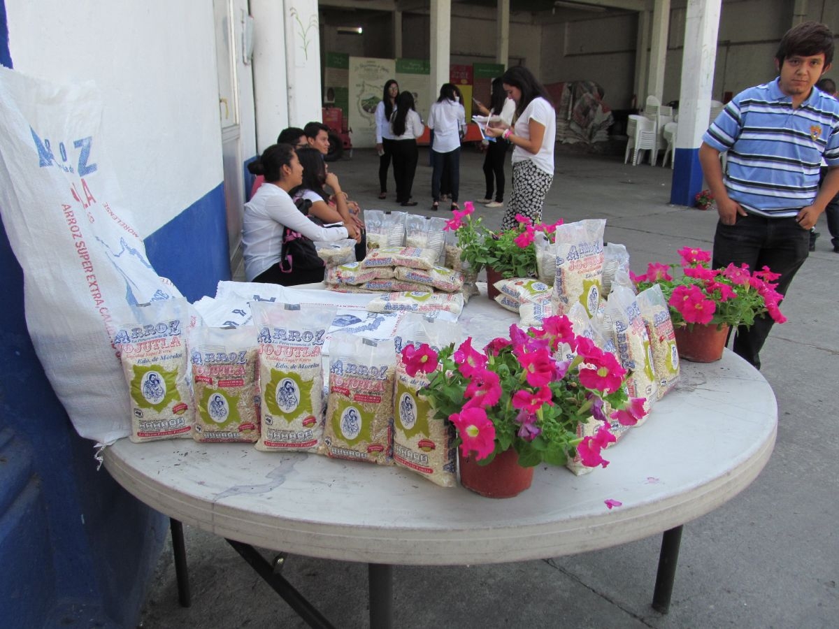 Buscan certificar el consejo regulador del arroz