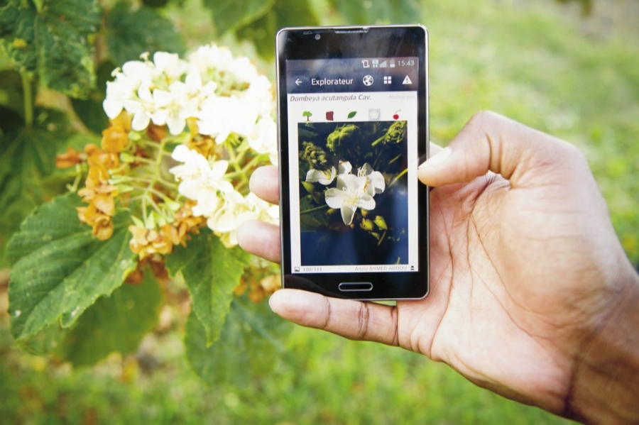 Esta App permite identificar una planta sólo tomando una foto