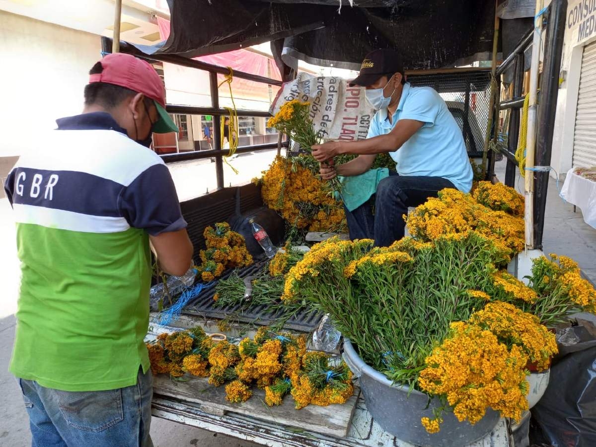 Se mantiene la tradición de colocar flores de pericón en Jojutla
