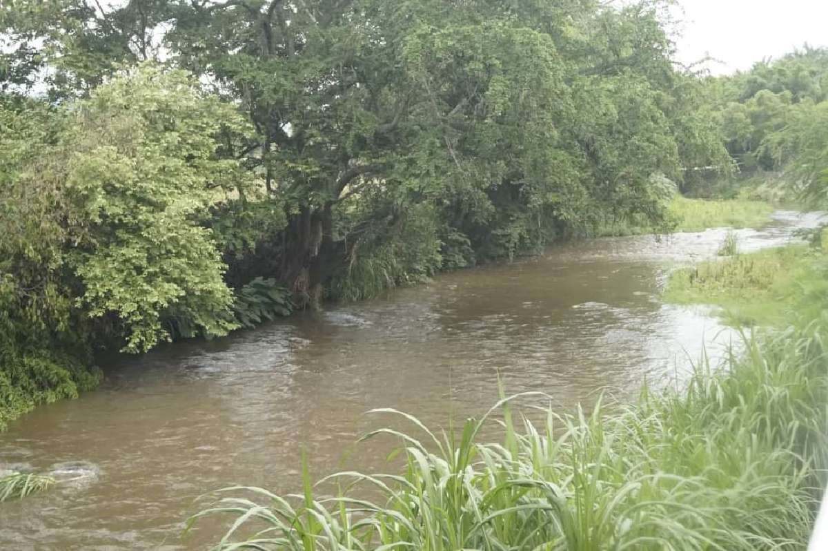 Continúan los trabajos de desazolve en el río Chalma