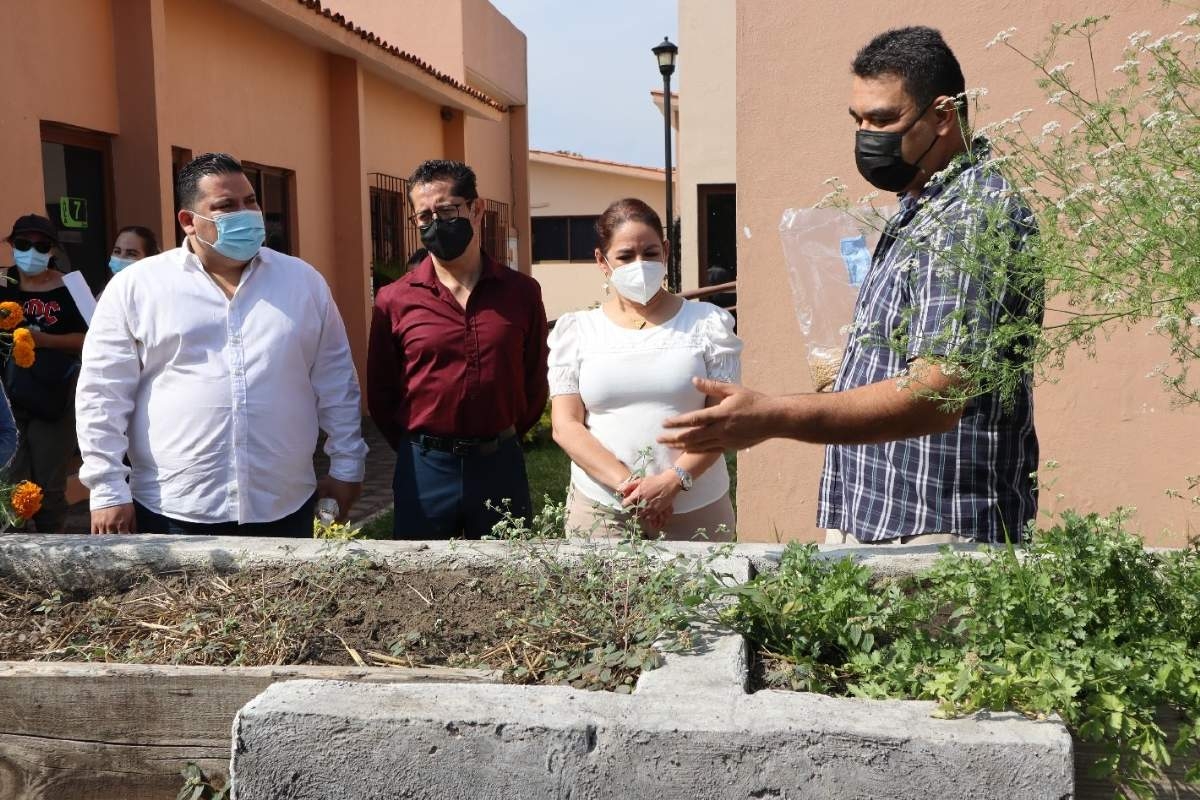 La EES Jicarero pretende cultivar plantas en sus instalaciones