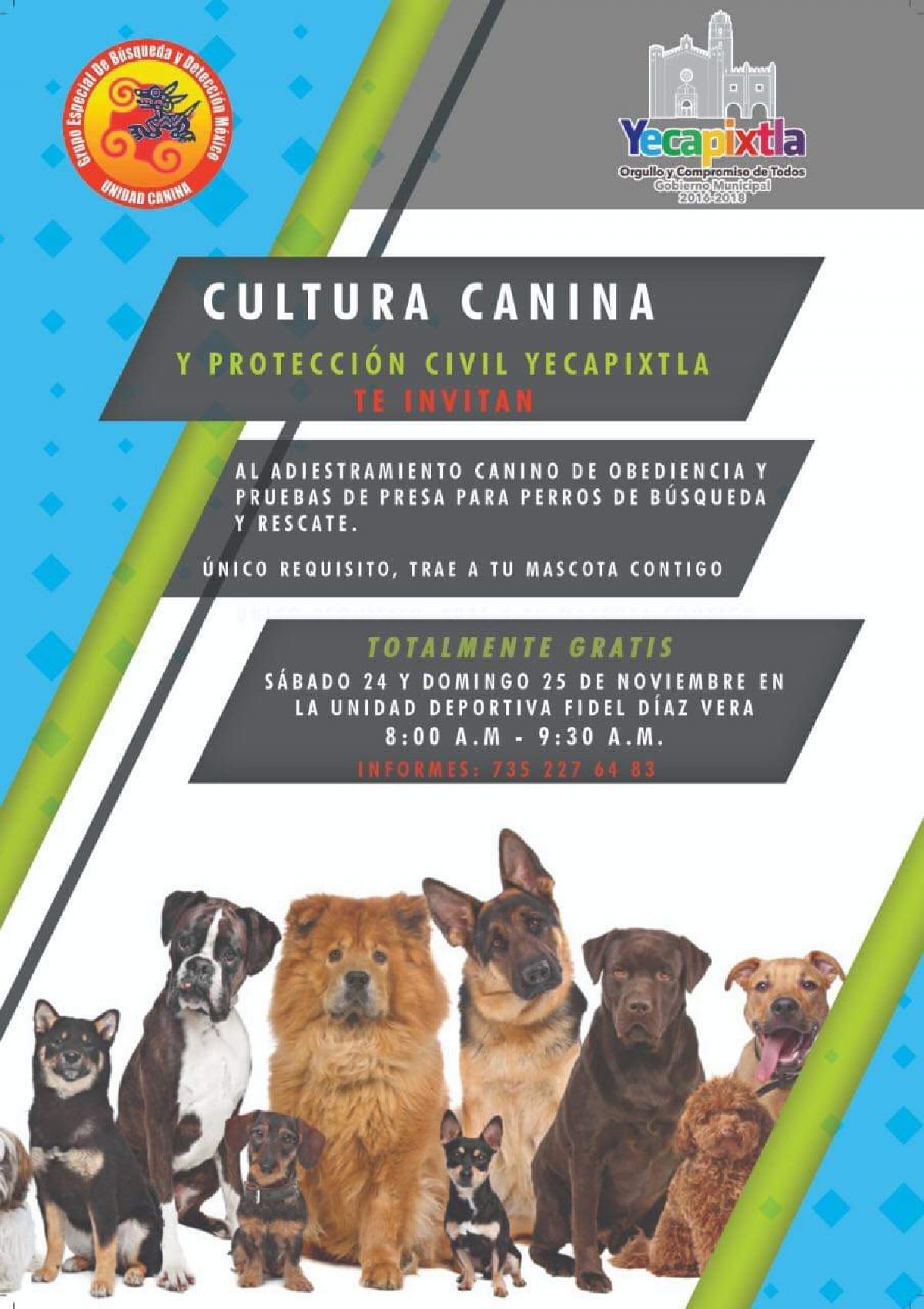 Realizarán campaña de adiestramiento canino en Yecapixtla