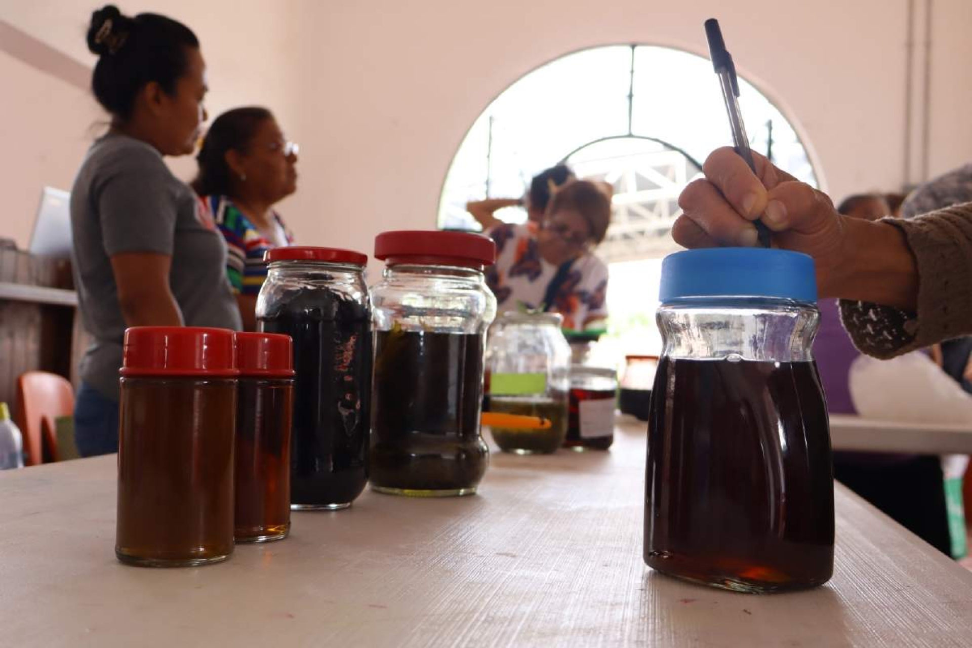 Replicarán saberes de plantas medicinales en la zona sur
