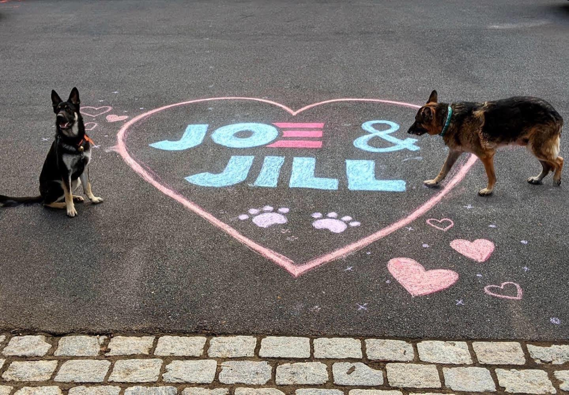 Joe Biden retomará tradición de alojar perros en la Casa Blanca