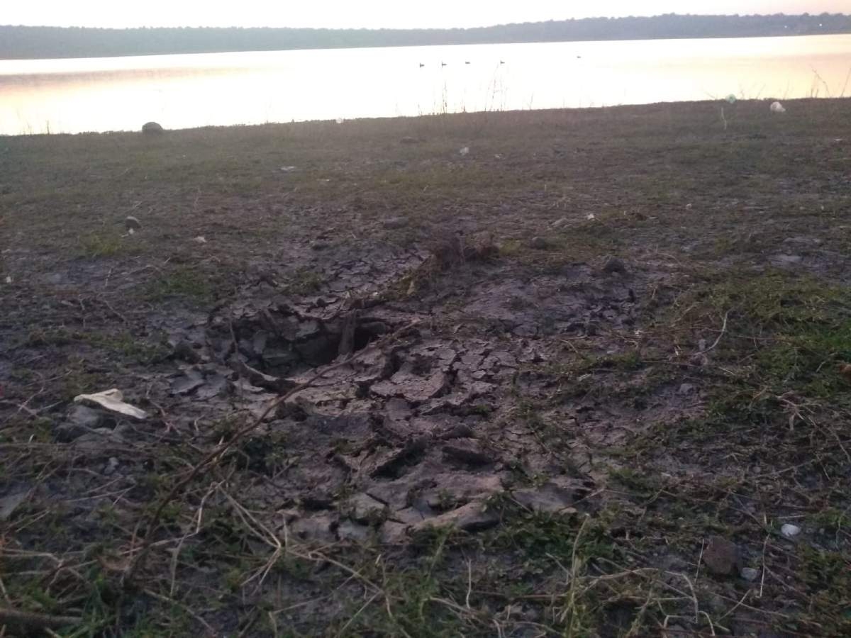 Detectan grietas en la presa de El Rodeo