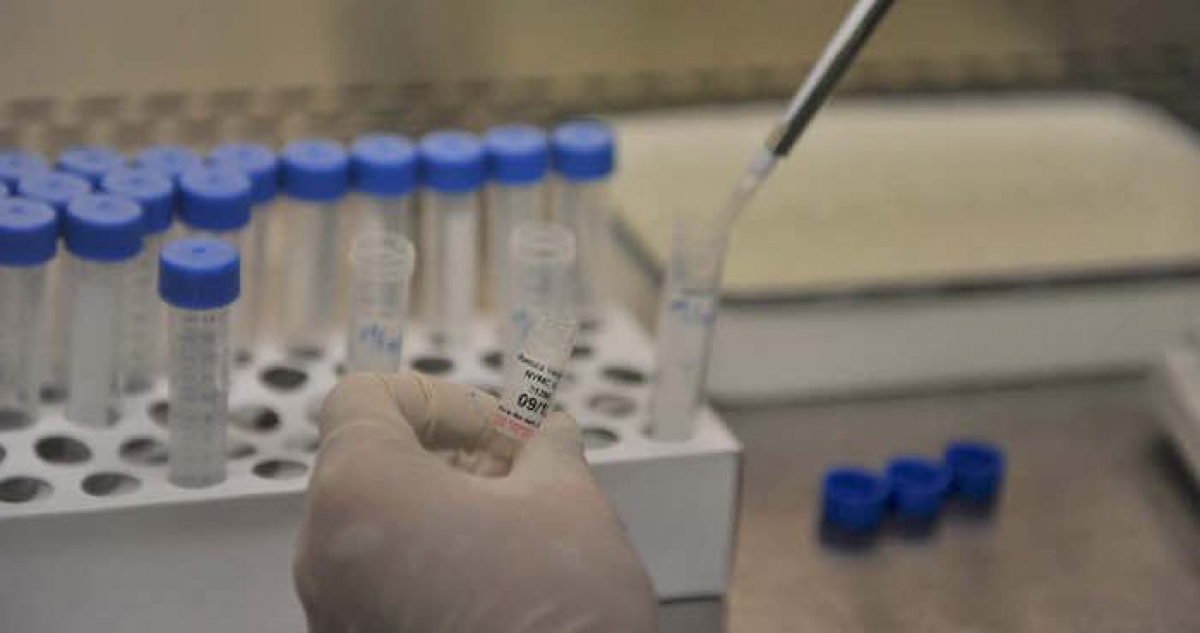 Nueva técnica genética que genera células sanas podría curar la hepatitis B
