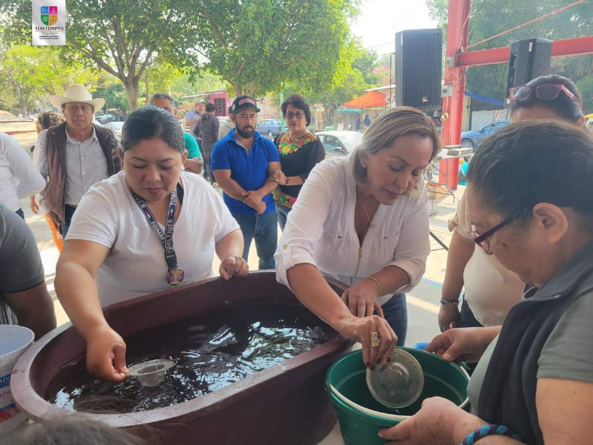 Inician programa de control biológico del dengue en Tlaltizapán