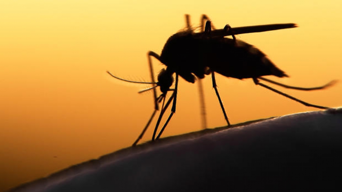 Refuerzan medidas preventivas en Tenextepango por casos de zika