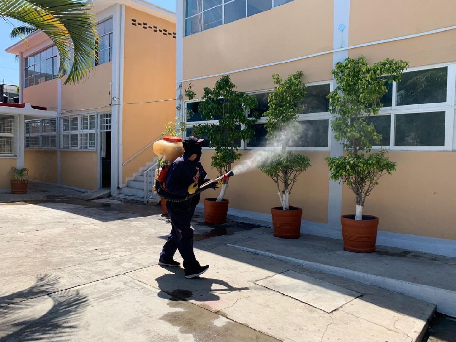 En Morelos se han registrado 26 muertes por dengue