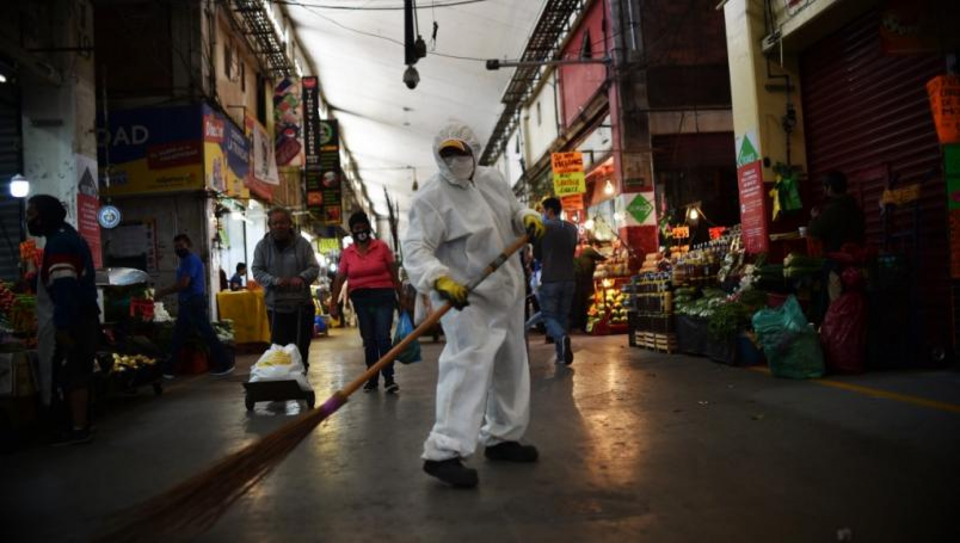 Todavía se desconoce el comportamiento del Covid-19 en las estaciones del año: OMS