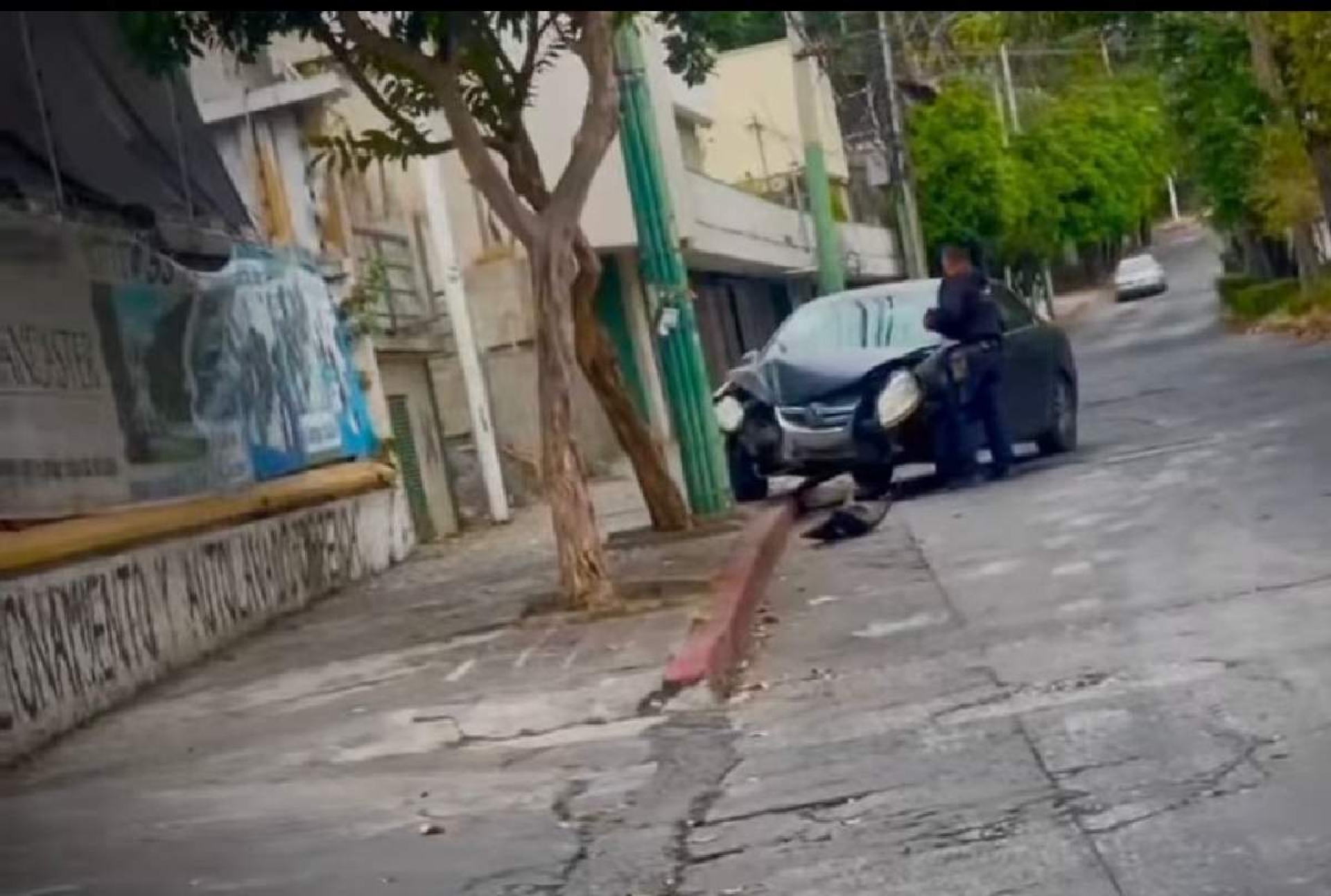 Abandonó un auto tras chocar contra un poste
