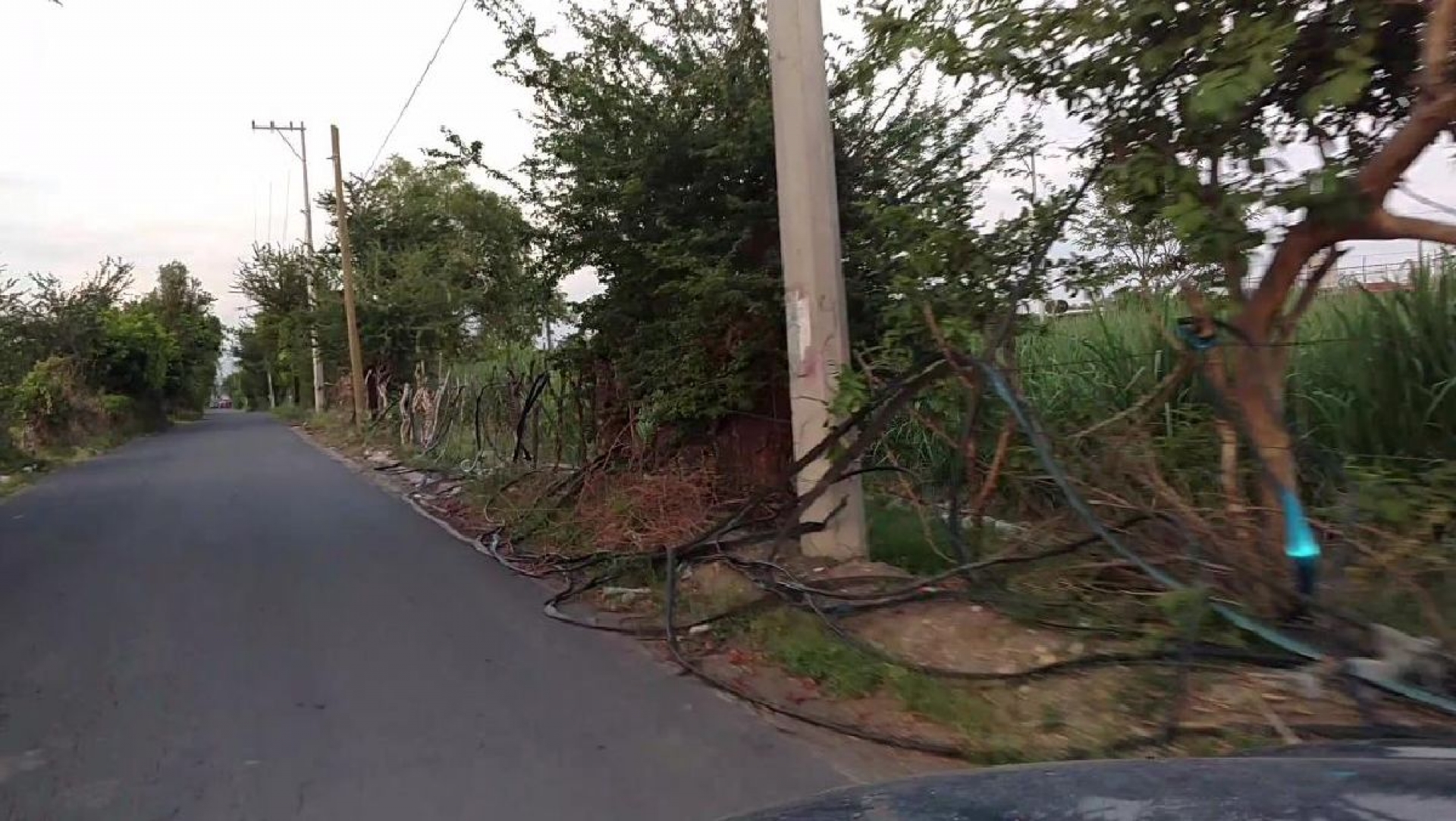 Dejan incomunicadas varias colonias de Cuautla por el robo de cable