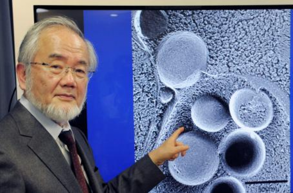 Científico japonés gana Nobel de Medicina 2016