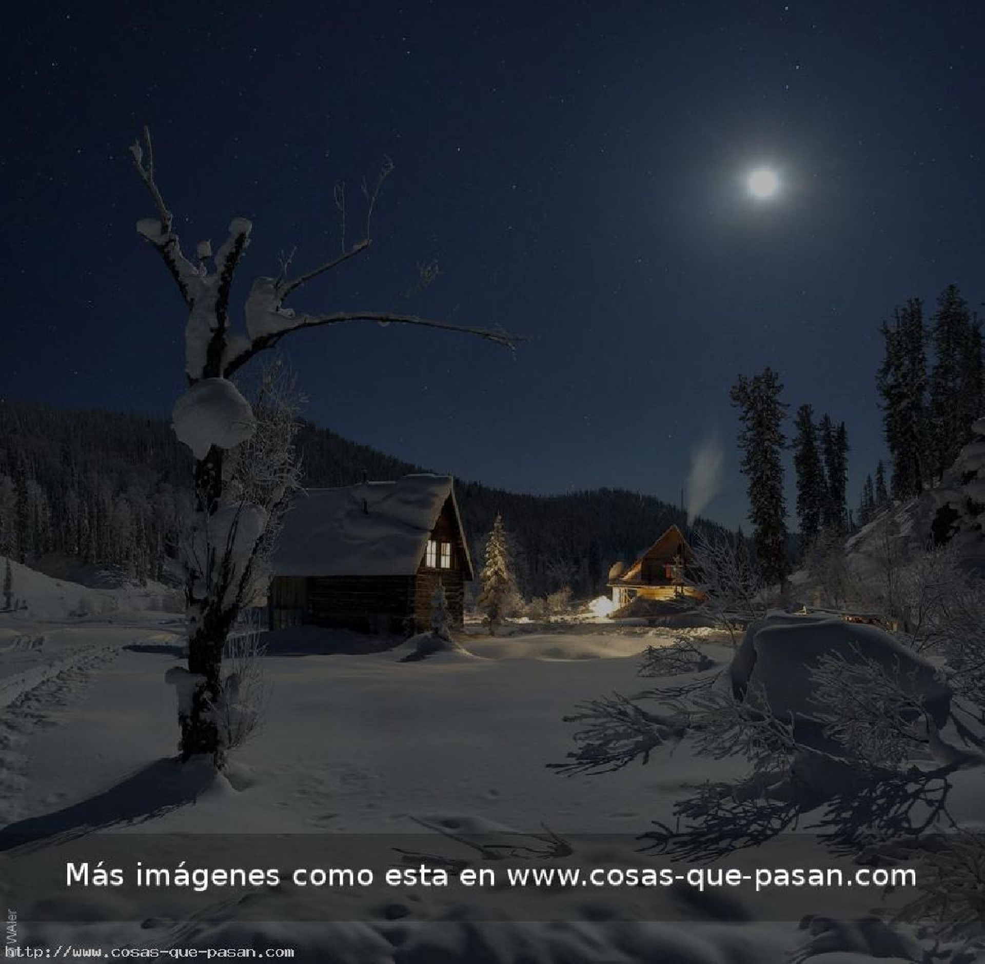 El visitante