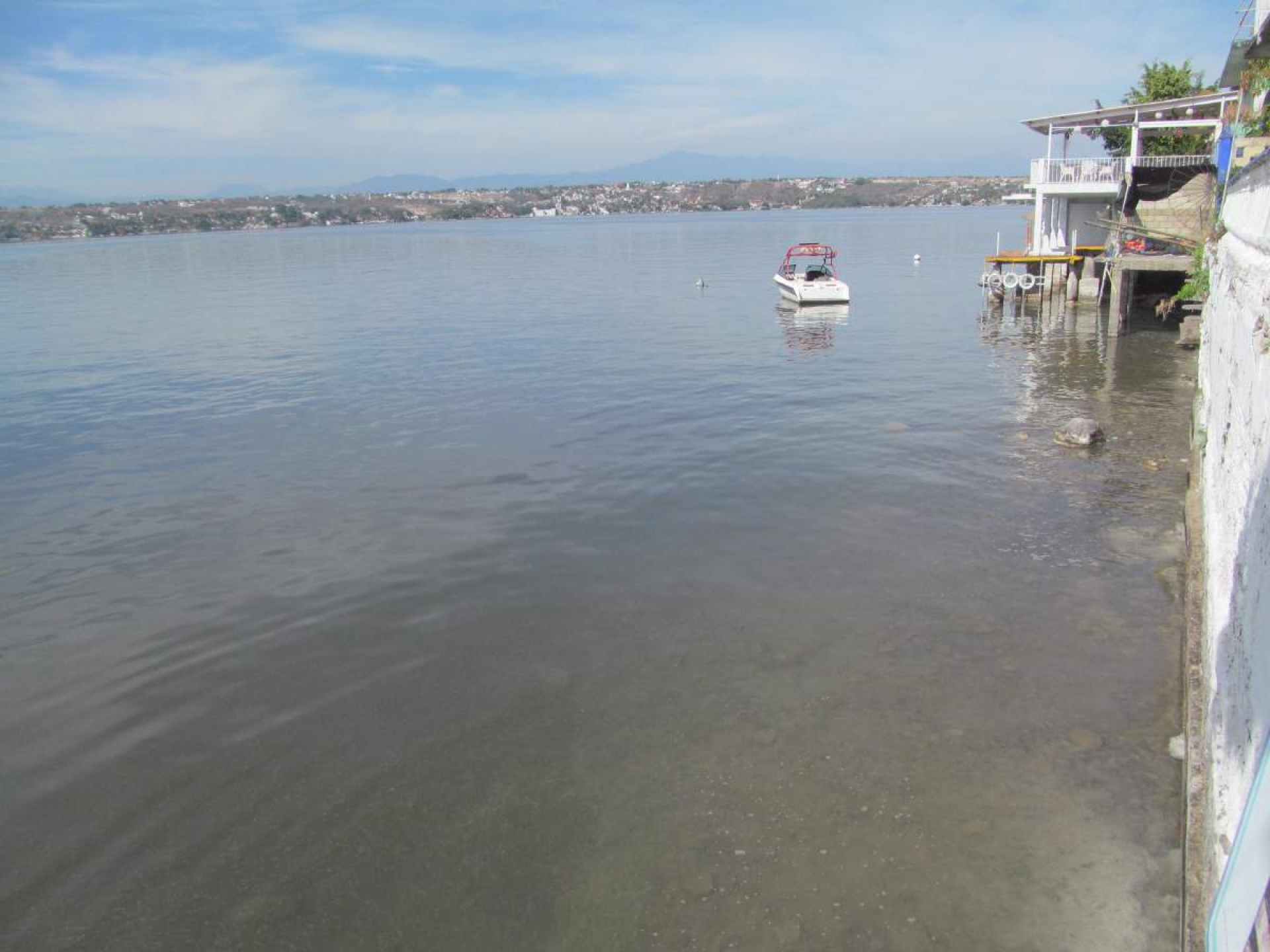 Comienza fenómeno del “vuelco” en lago de Tequesquitengo