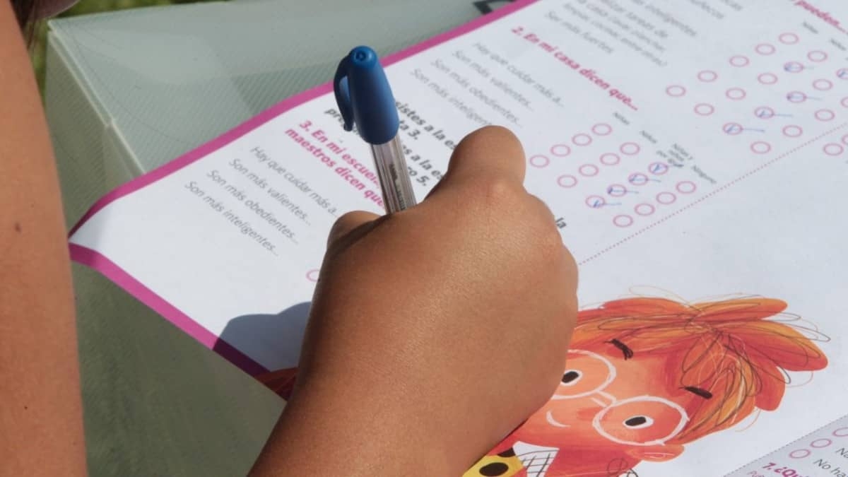 INE prepara Consulta Infantil y Juvenil 2021