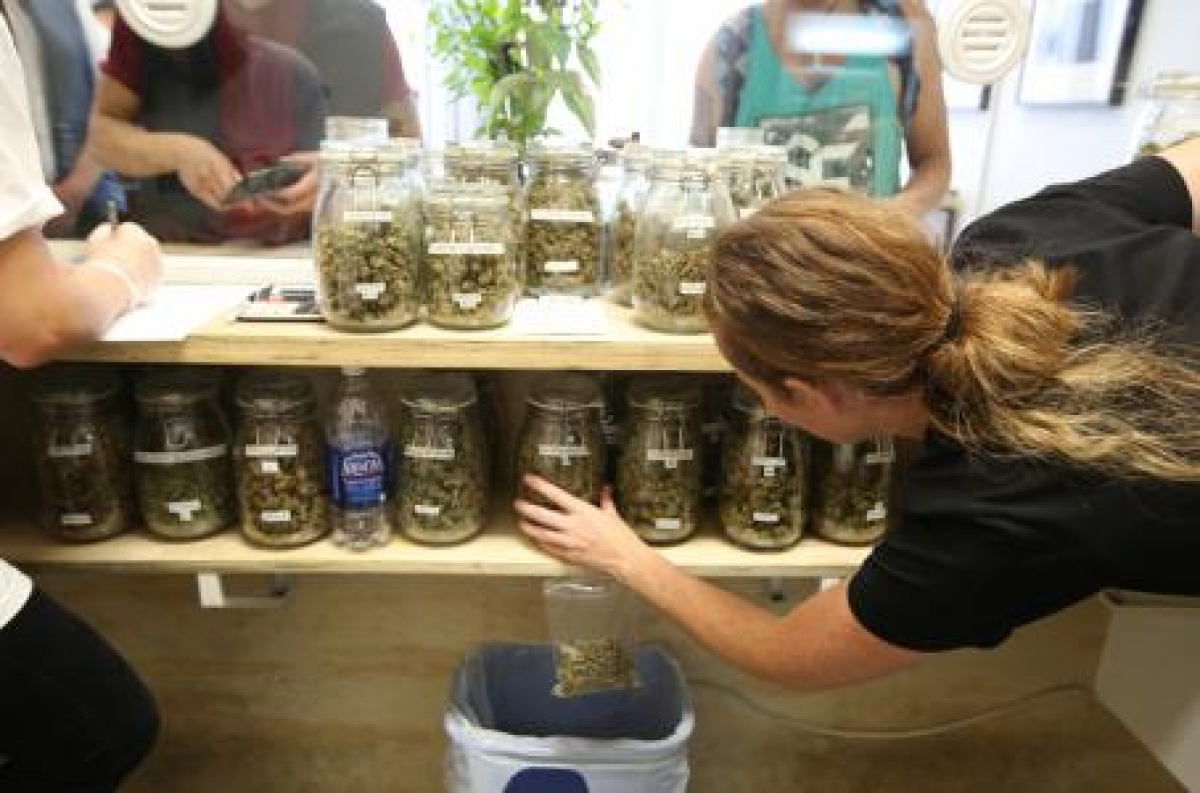 Canadá se moviliza para legalizar la mariguana
