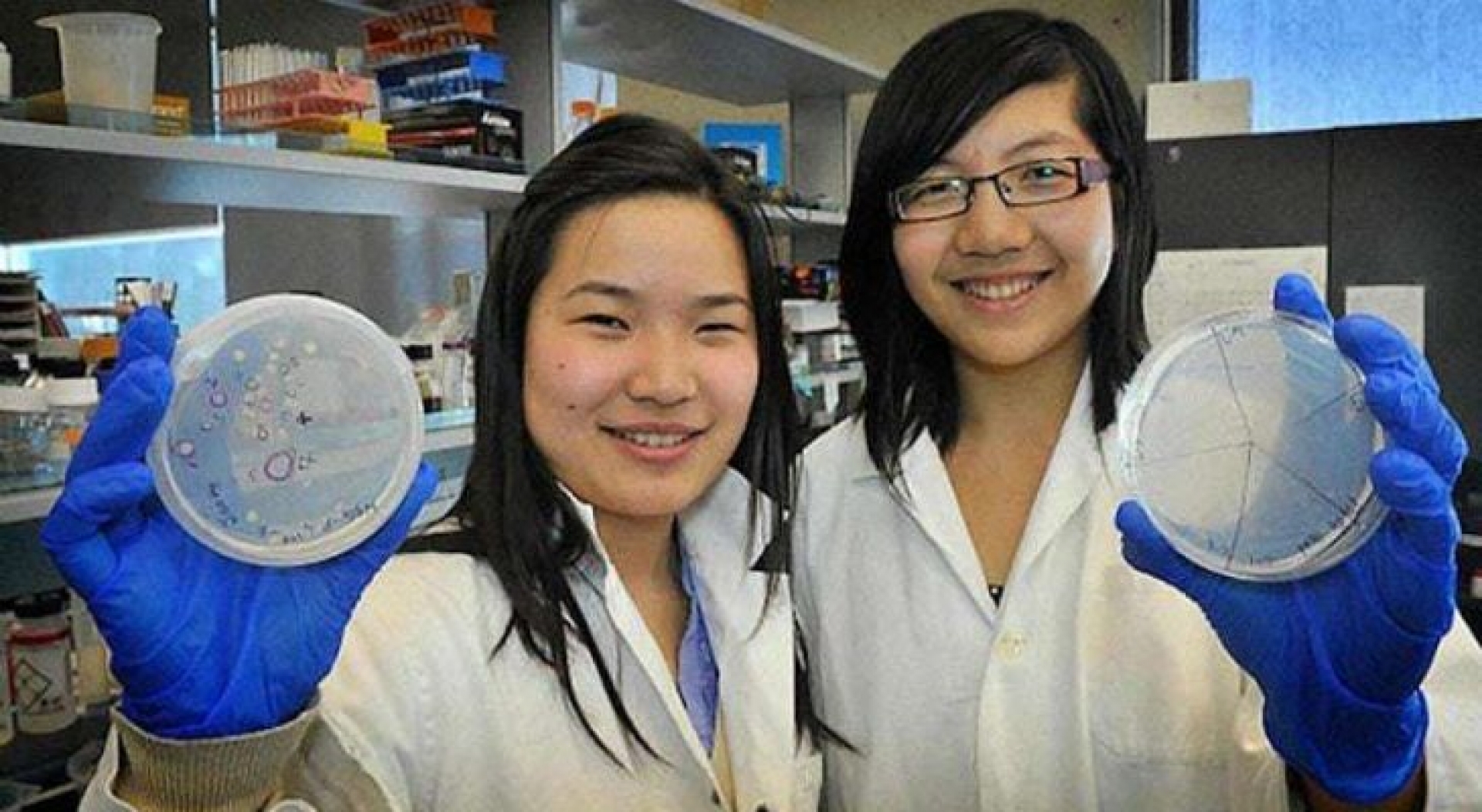 Crean bacteria que convierte el plástico de los océanos en agua