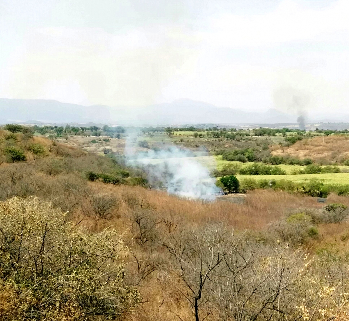 Crece la superficie afectada por incendios forestales