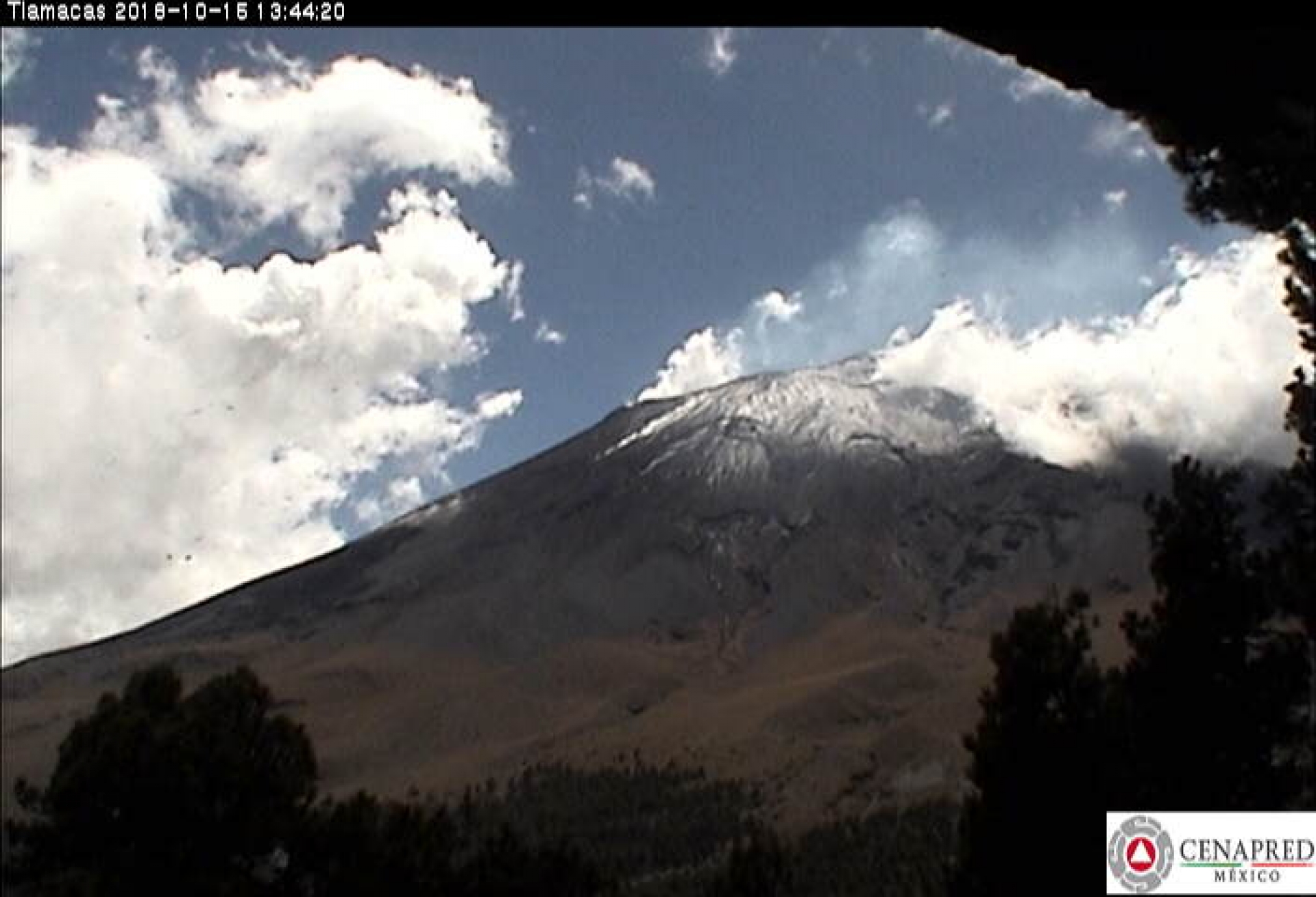 Registra volcán Popocatépetl 61 exhalaciones