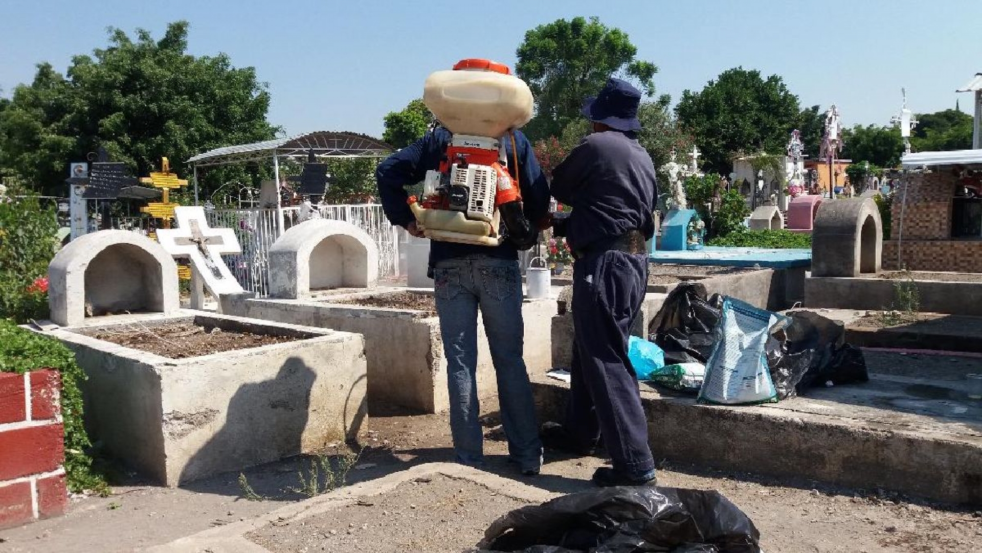 Inician limpieza de panteones para eliminar criaderos de moscos