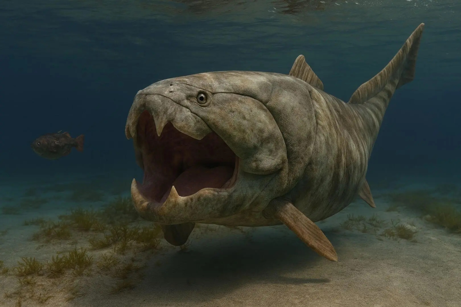 Nuevo estudio revela detalles del gigante marino Dunkleosteus del Devónico