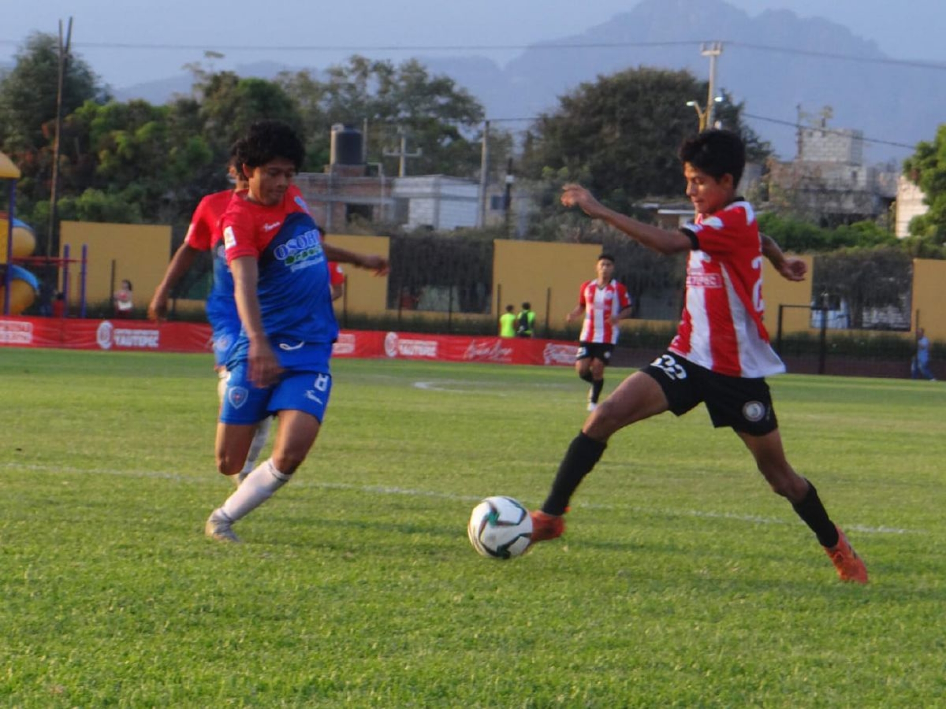 Se prolonga suspensión en la Tercera División profesional