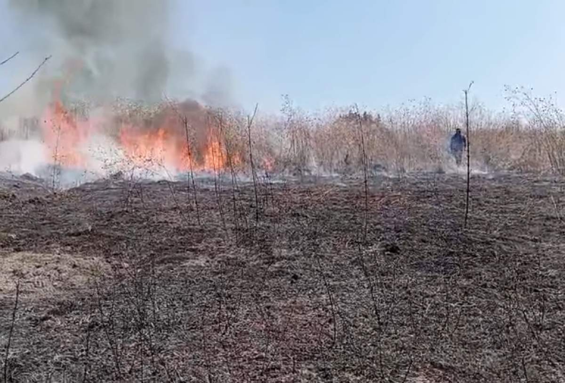 Se registra incendio en predio del CETis 122 de Xoxocotla