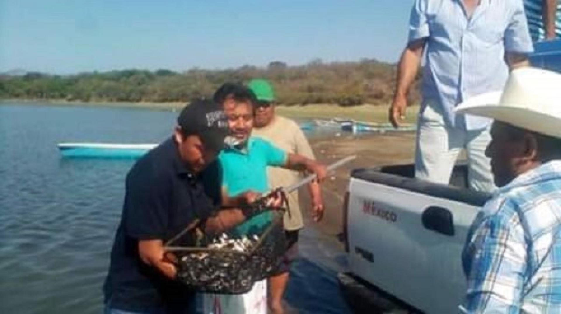 Realizan primera siembra de tilapia de 2019 en Coatetelco y El Rodeo