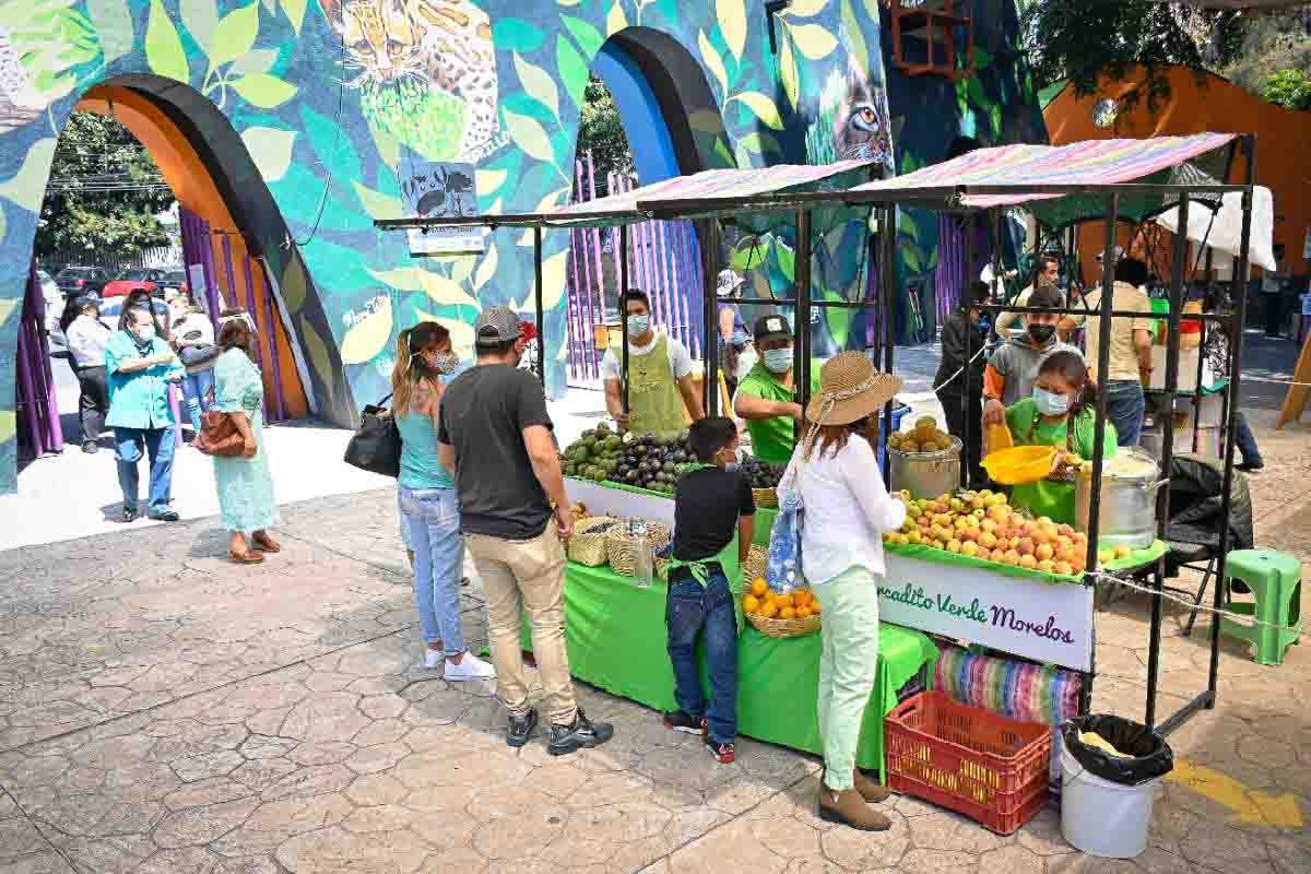 Habrá Mercadito Verde Morelos este domingo en el Parque Chapultepec