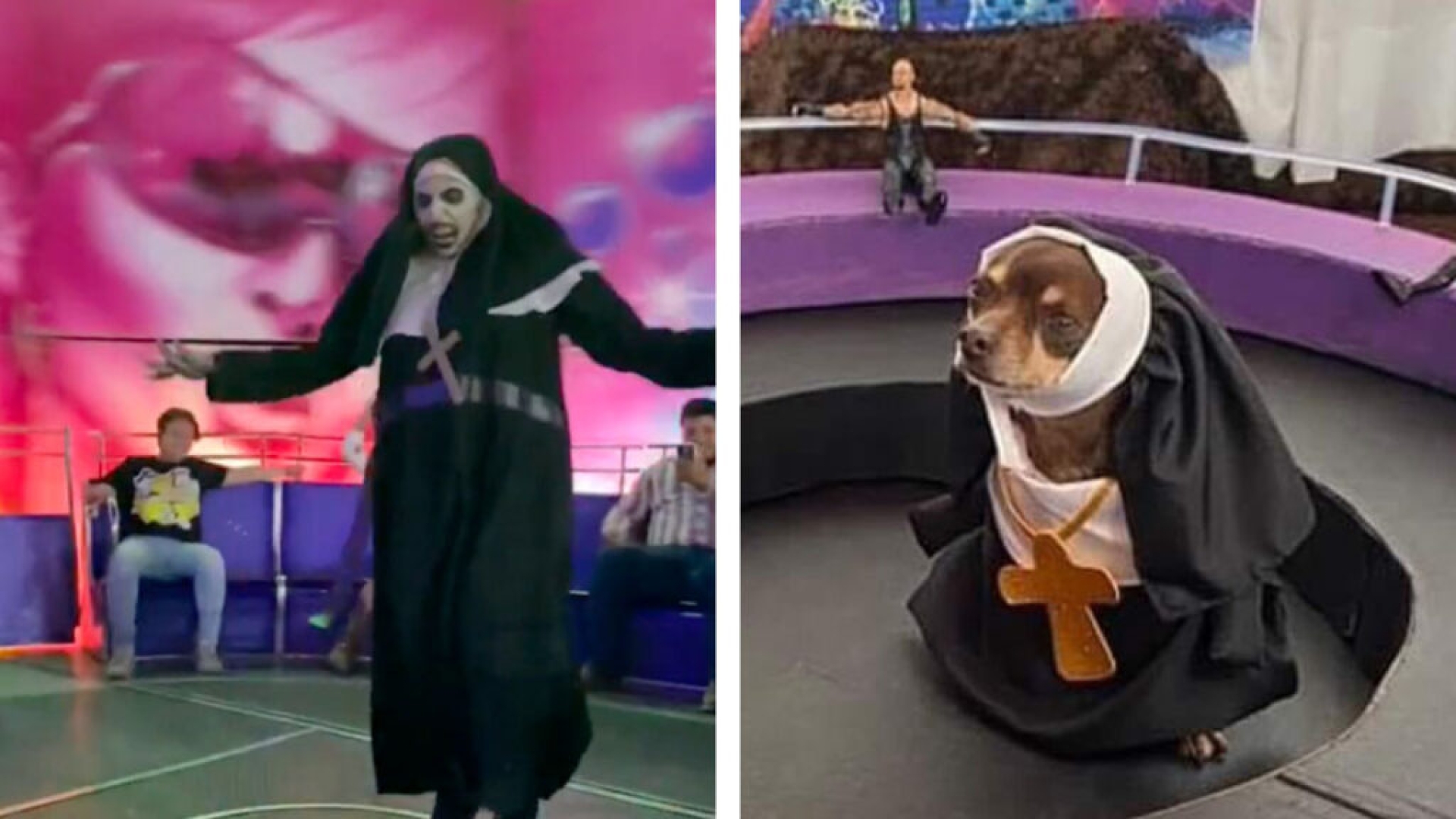 'La perromonja' : Disfrazan a perro como 'La monja de la feria' y causa sensación en redes