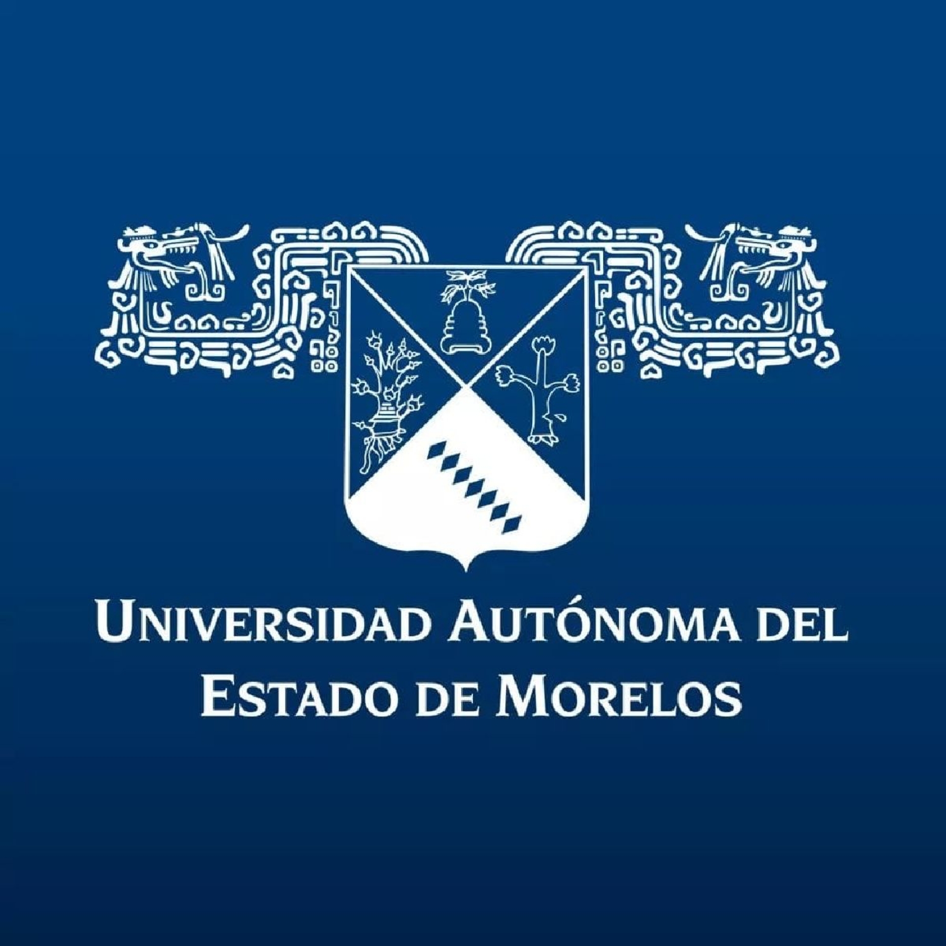 Lanza UAEM convocatoria para realizar Servicio Social