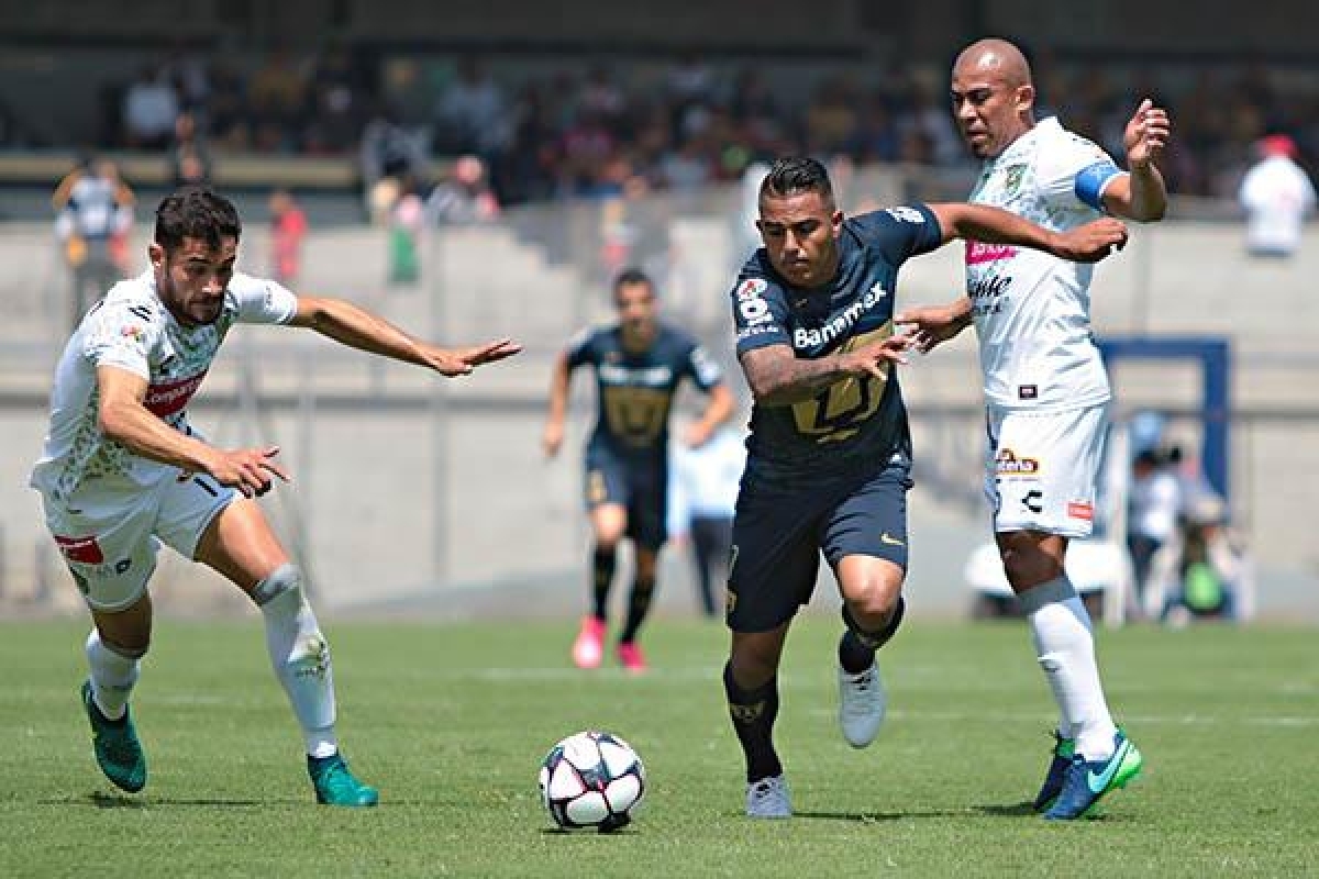 Pumas, imbatible en Ciudad Universitaria