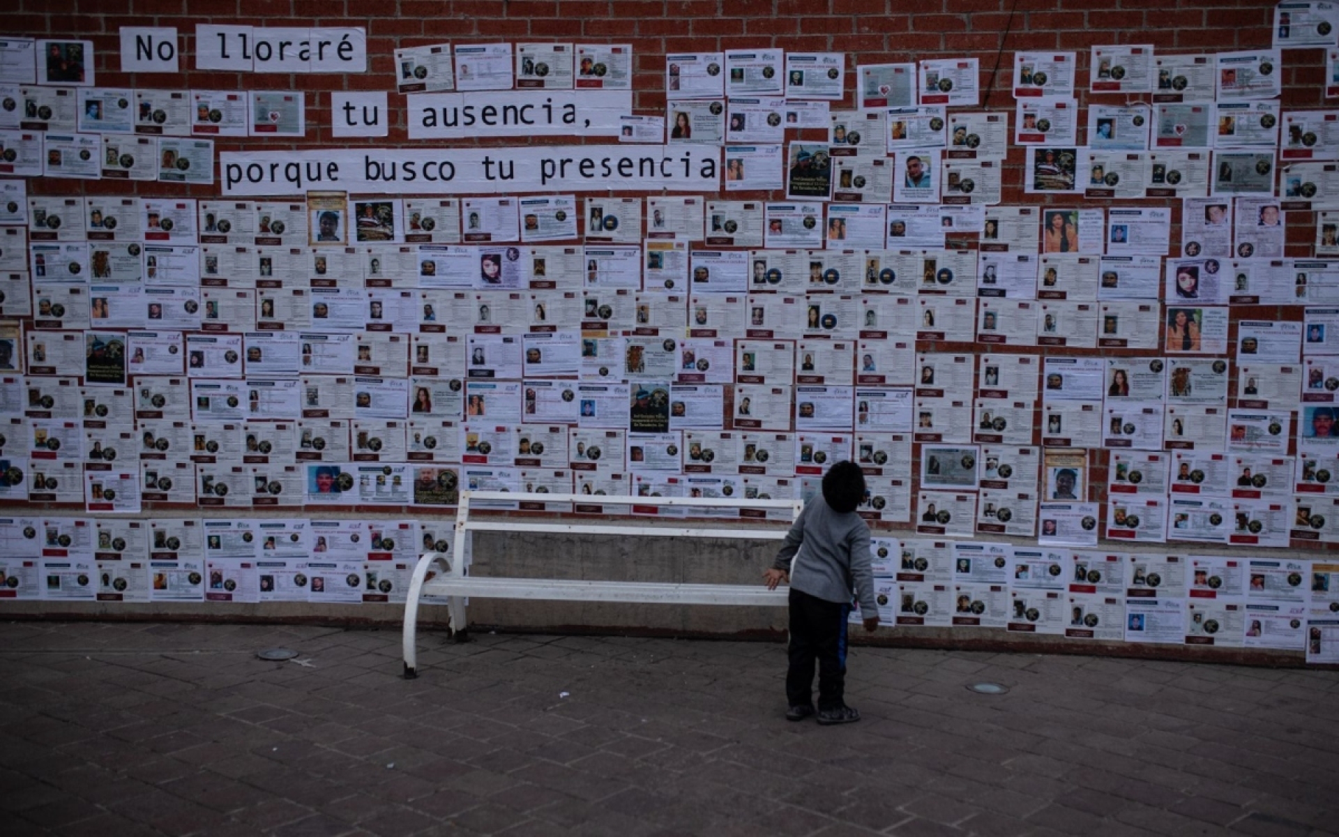 Colectivos critican propuesta de Sheinbaum sobre desapariciones: 'exhibe ignorancia en el tema'
