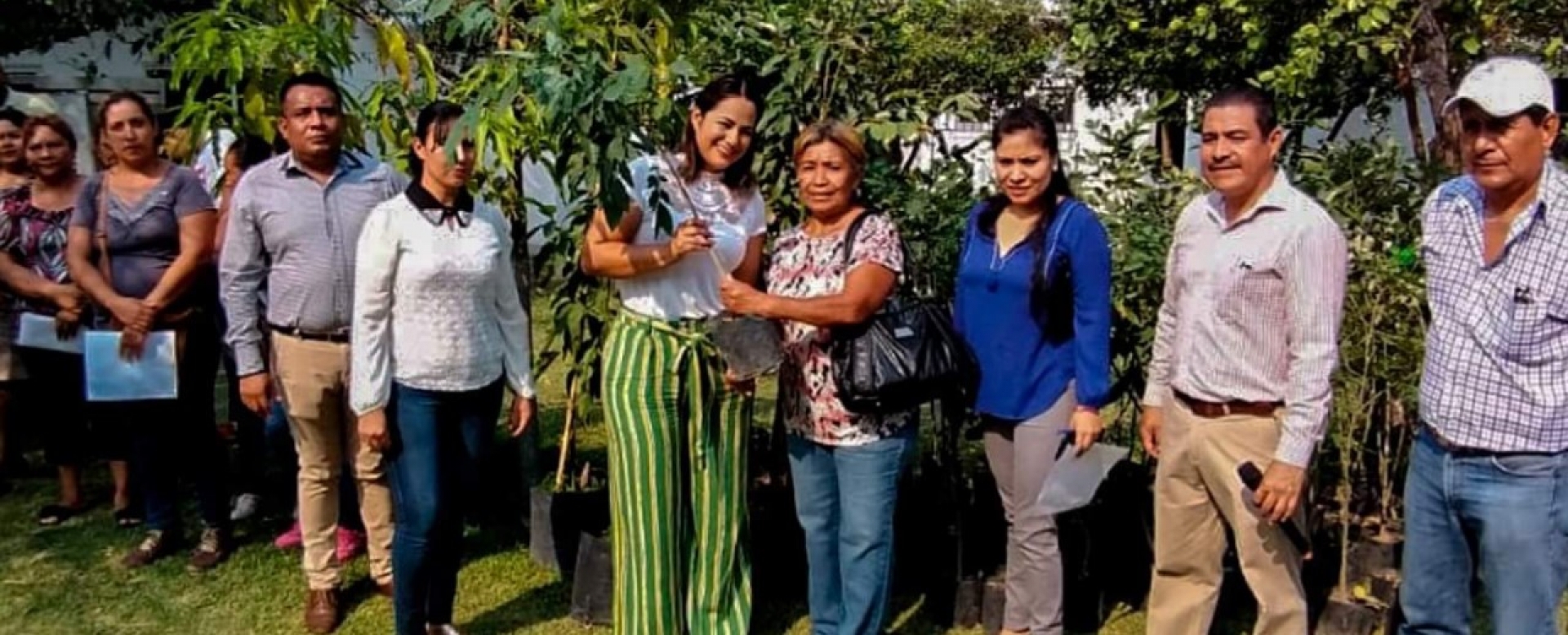 Entrega DIF de Ayala árboles frutales