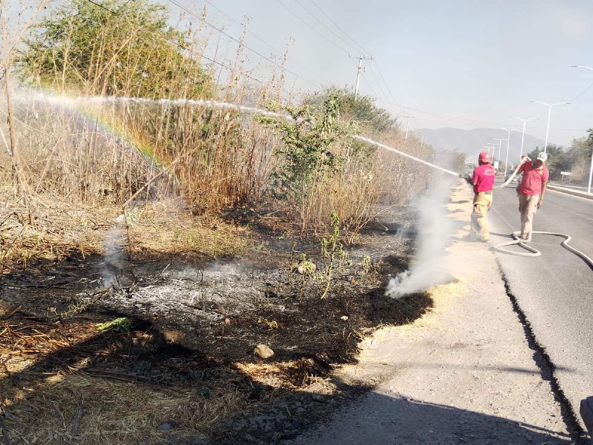 En Jojutla se han registrado alrededor de 20 incendios de pastizales
