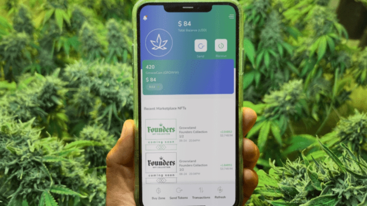 GrowwCoin, la criptomoneda diseñada para impulsar a las empresas cannábicas