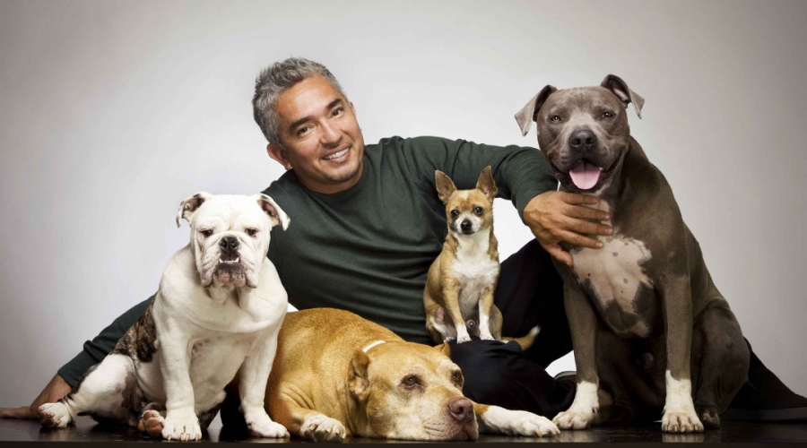 ¡Guau! César Millán creó audiolibros exclusivos para perros