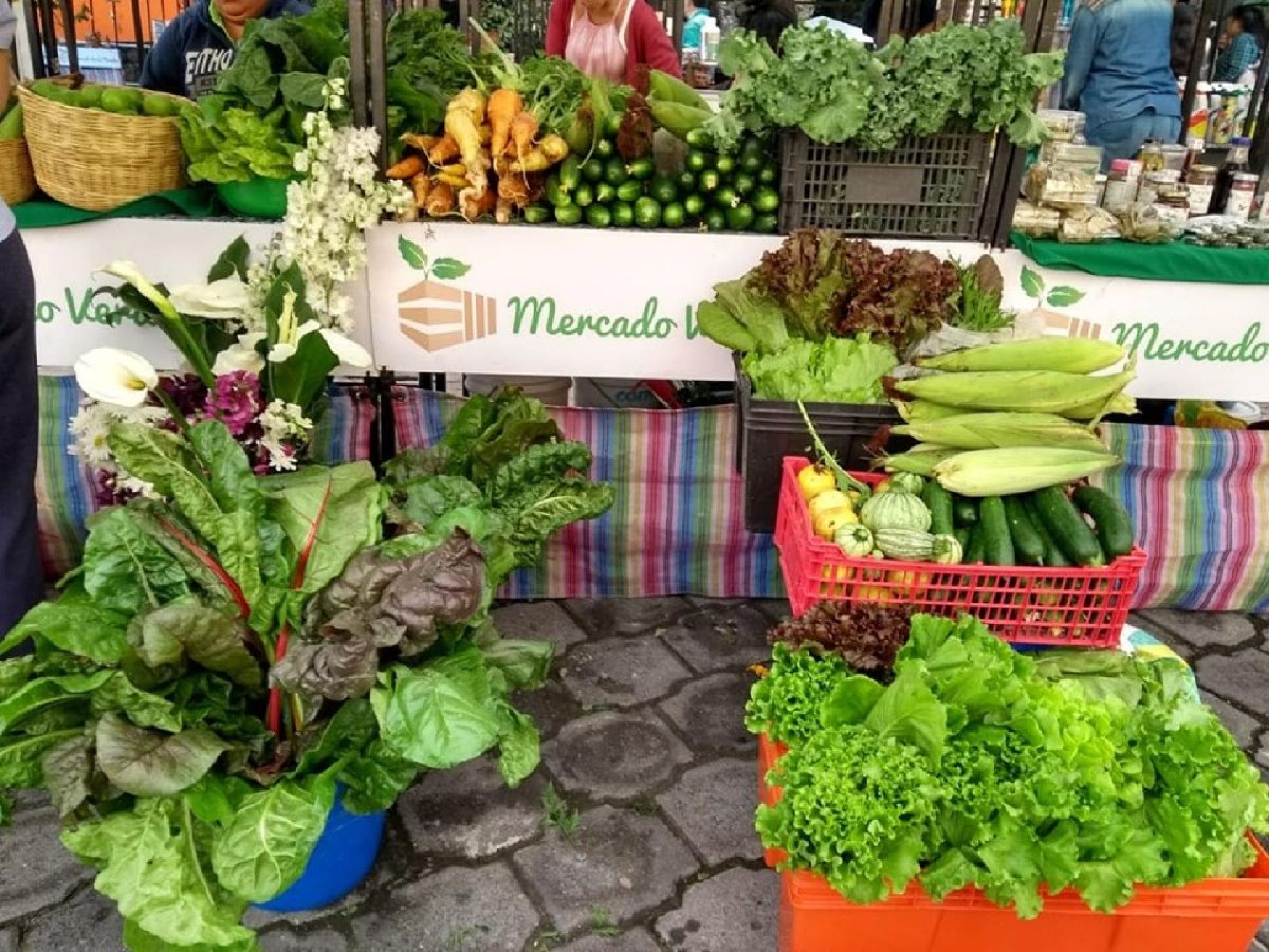 Mercado Verde Morelos
