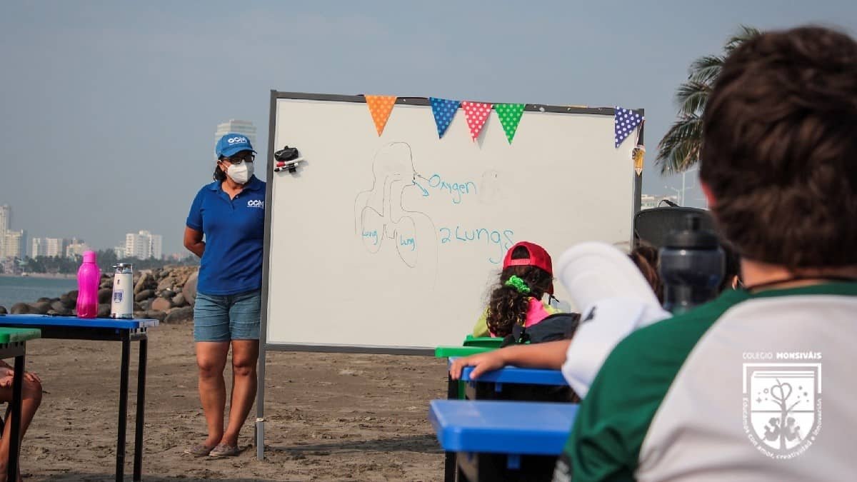 Alumnos de un colegio de Veracruz toman clases con vista al mar
