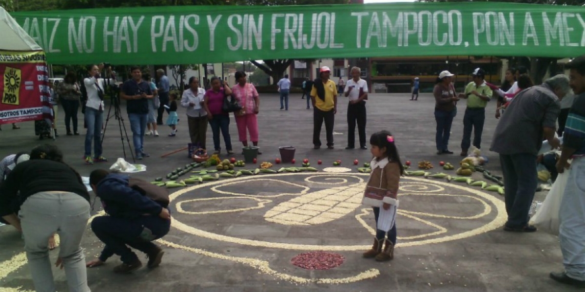 Se manifiesta el frente "Sin maíz no hay país" en la Plaza de Armas; anuncia caravana a la Ciudad de México