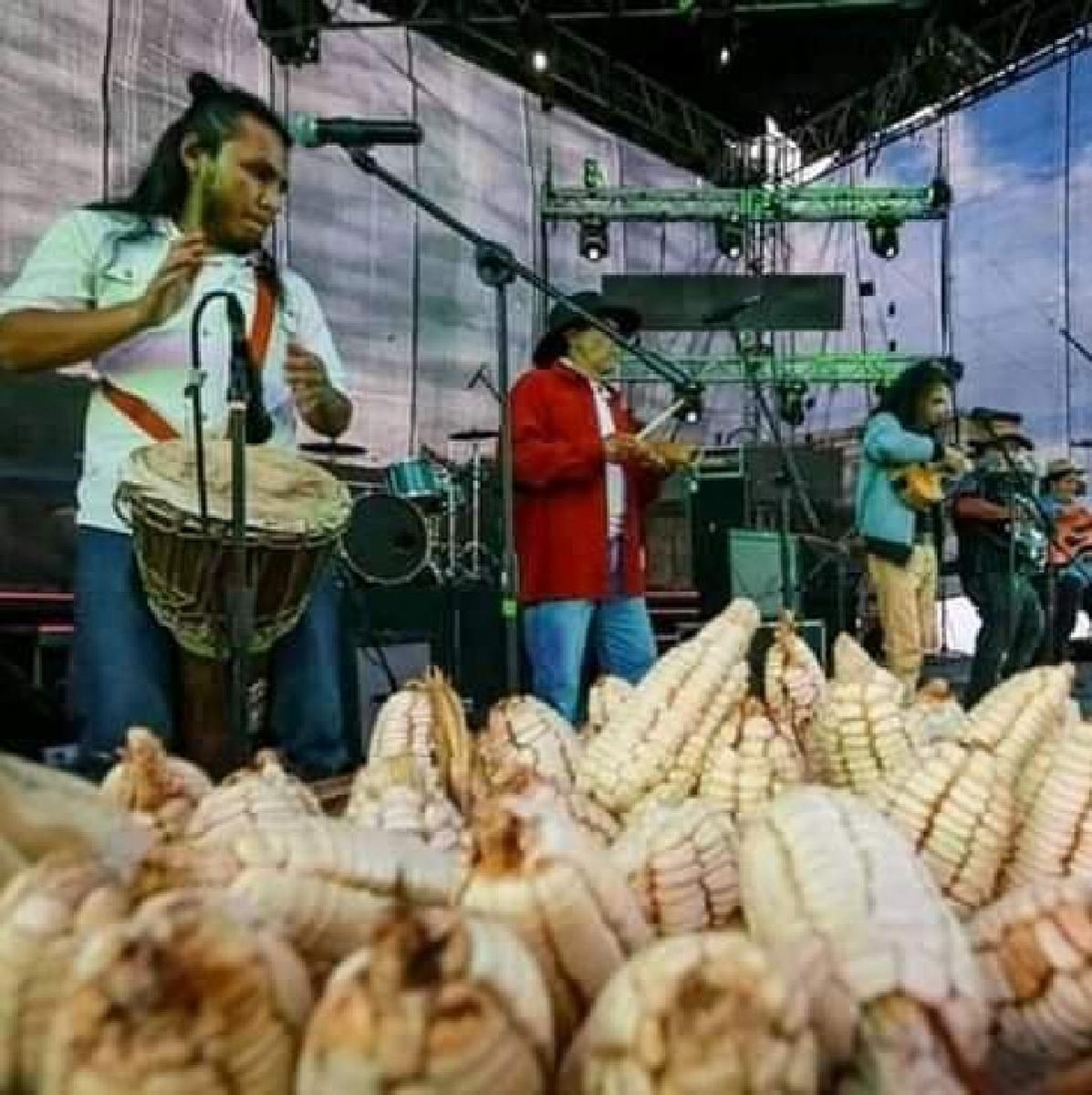 ALTOS SONOROS DEL COLIBRÍ