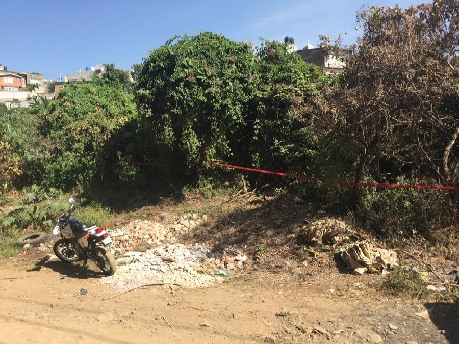 Se quitó la vida al colgarse de un árbol