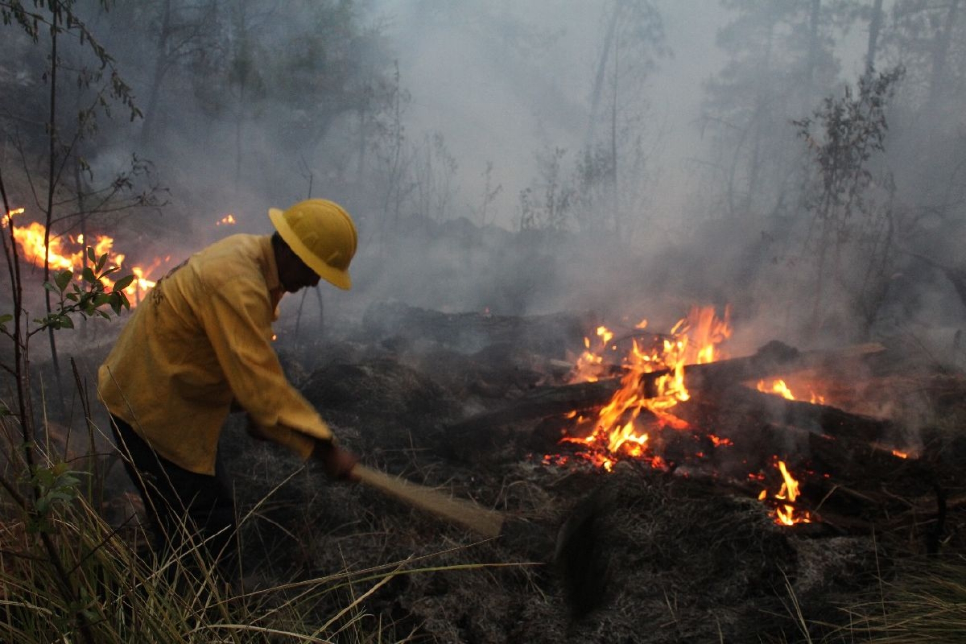 Continúan a la baja incendios forestales en Morelos