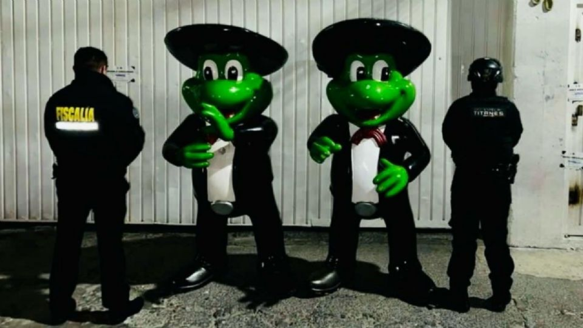 Encuentran en Nezahualcóyotl ranas del 'Señor Frog's' robadas en Acapulco
