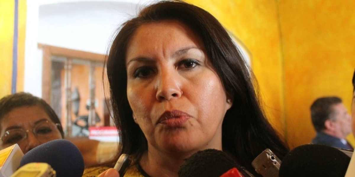 Informa diputada que comparecencia del titular de la CES será reprogramada